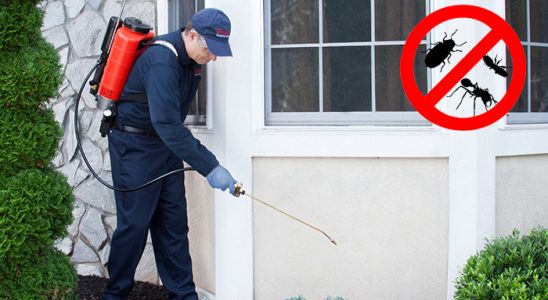 Doğanşehir Akrep İlaçlama böcek ilaçlama ve haşere kontrolü — ilaclama-tr.com